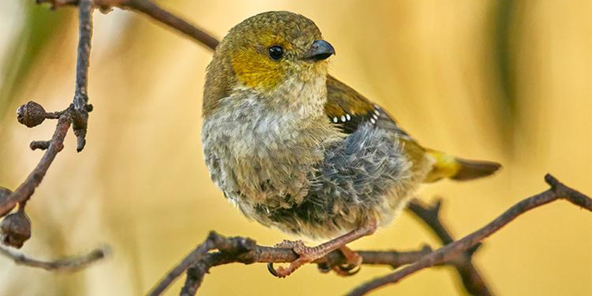 nature tour operator software story