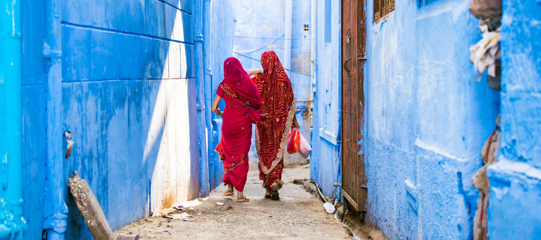 Indian travel designer software